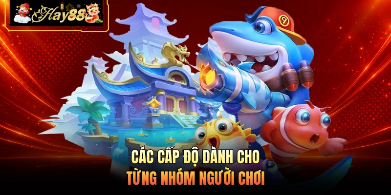 Các cấp độ dành cho từng nhóm người chơi 