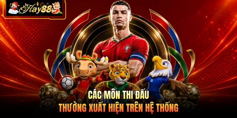 Các môn thi đấu thường xuất hiện trên hệ thống 