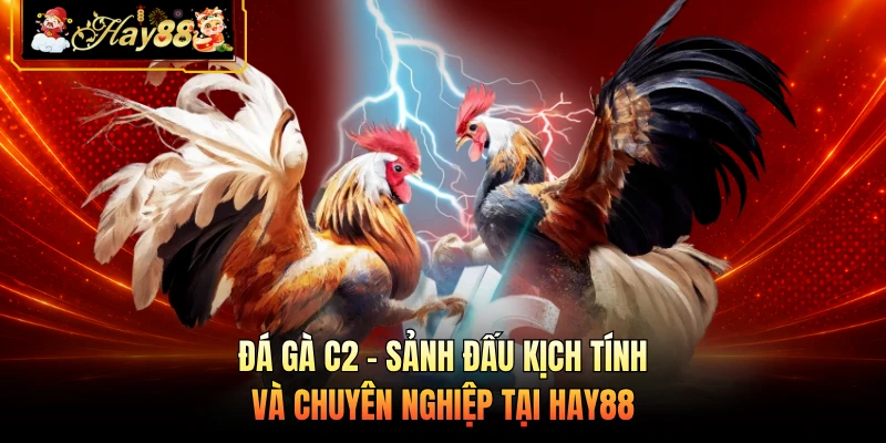 Nhà cái Hay88 Đá Gà C2 - Sảnh Đấu Kịch Tính Và Chuyên Nghiệp Tại HAY88