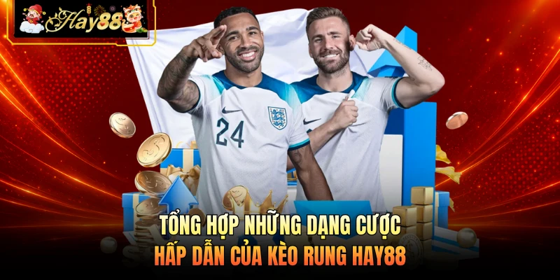 Nhà cái Hay88 Tổng hợp những dạng cược hấp dẫn của kèo rung HAY88